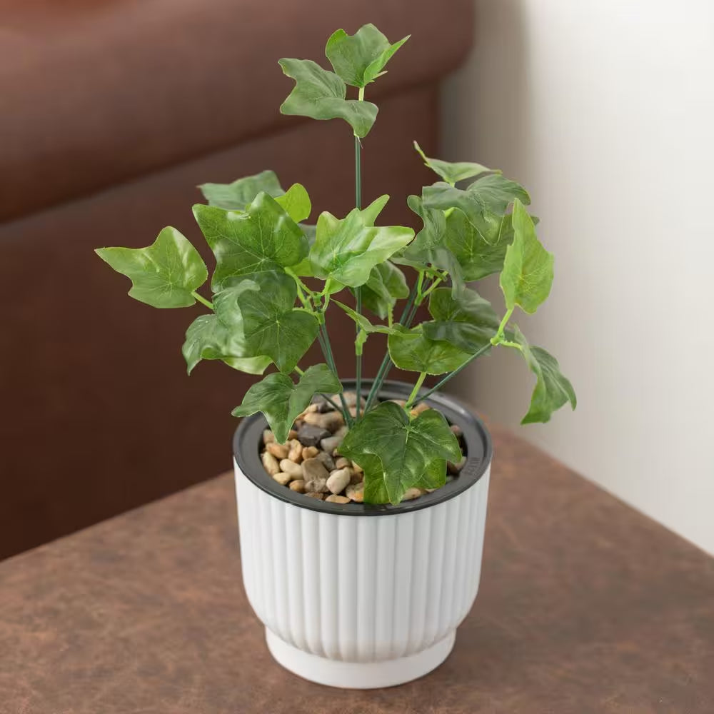 Plastic White Flower Pot Self Watering Planter (6-Pack)