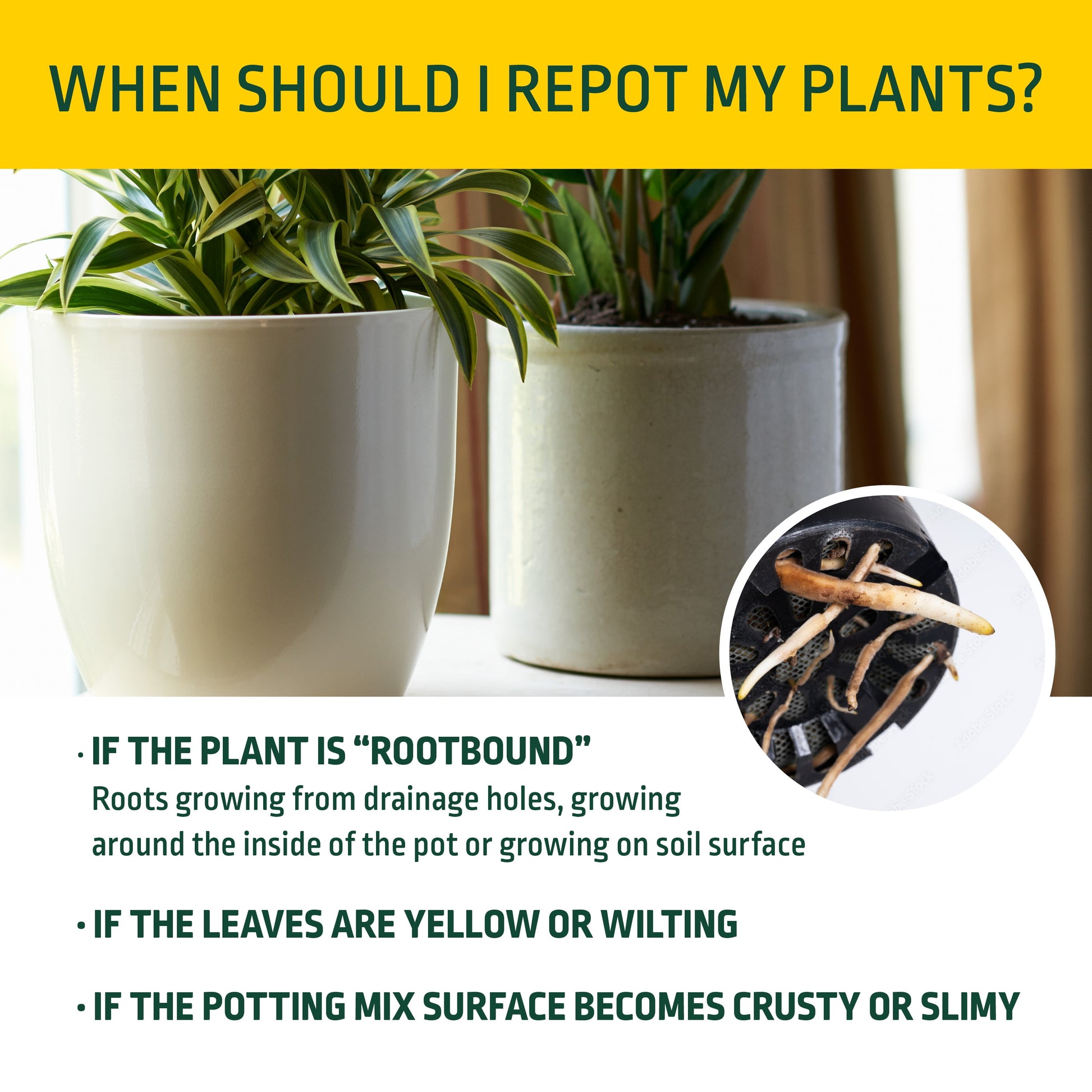 Potting Mix for Potted Plants, 8 Qt.