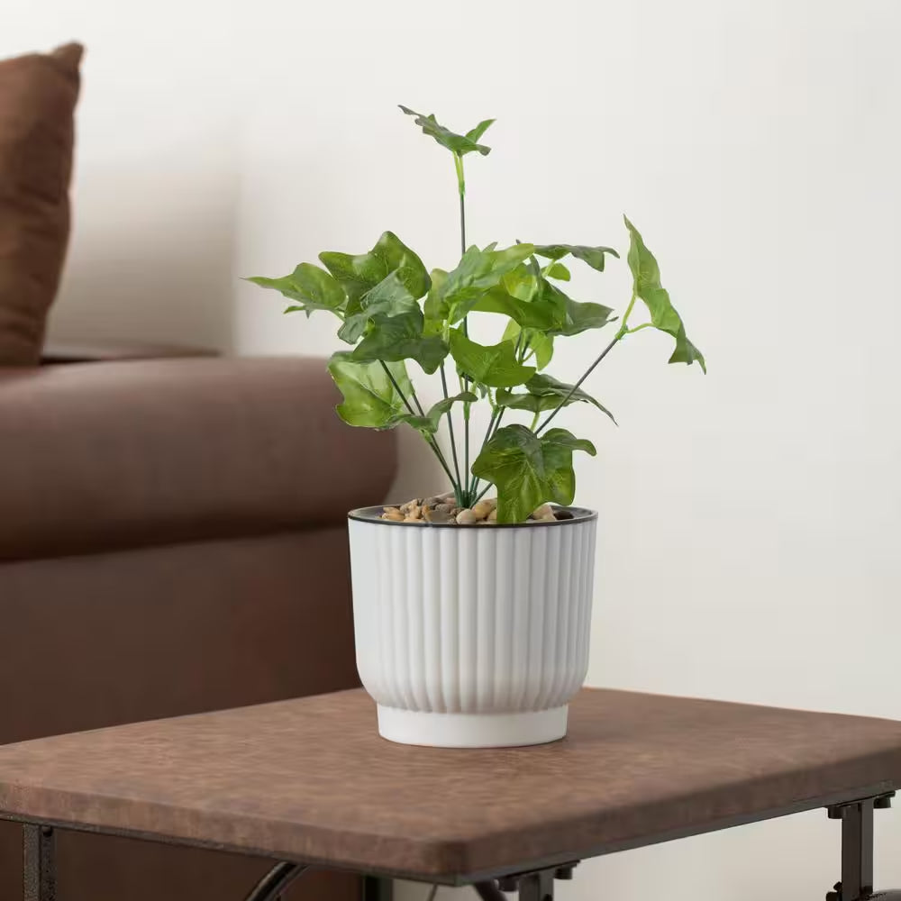 Plastic White Flower Pot Self Watering Planter (6-Pack)